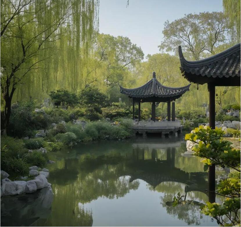 雅安雨城空气计算机有限公司